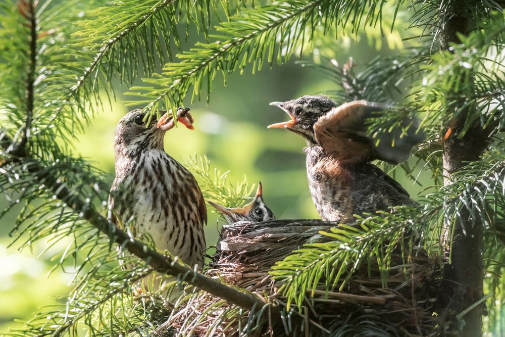 Photograph by Соколова Елена