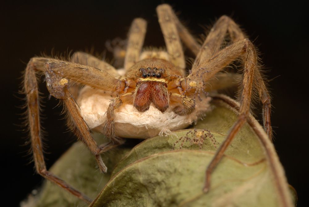 Photograph by Restito Carreon