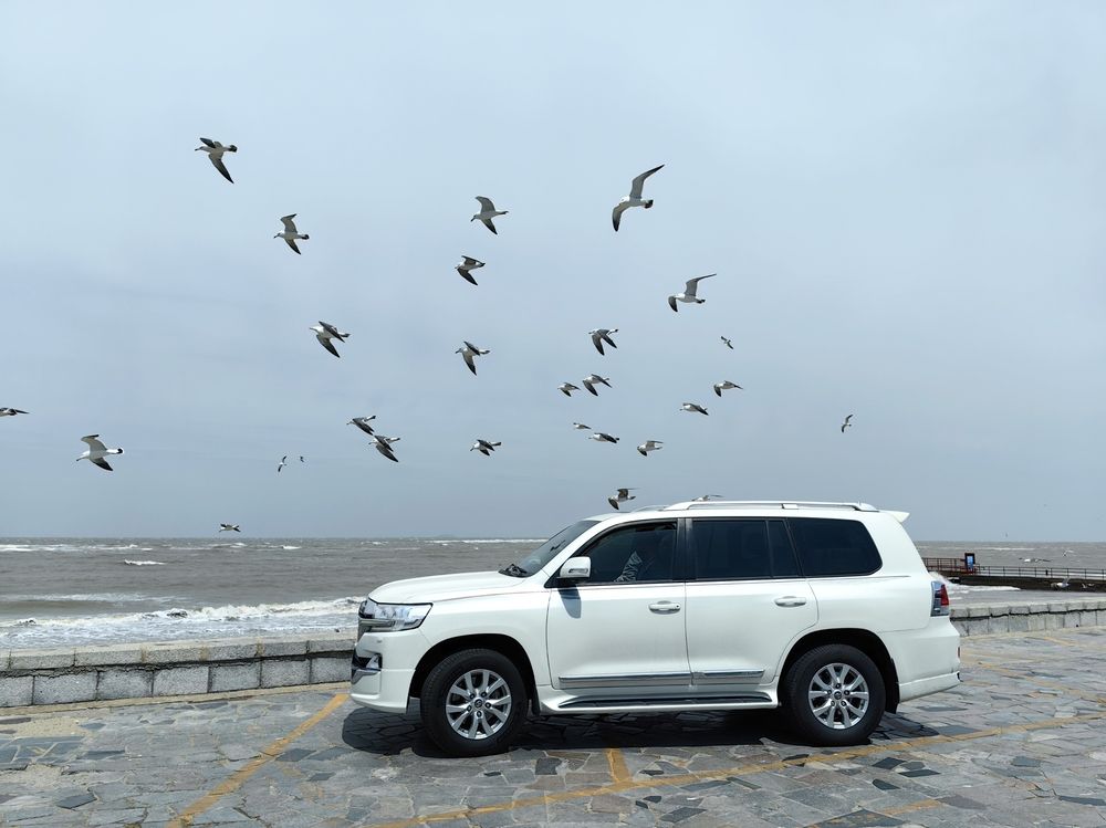 Photograph by Игорь Крыжко