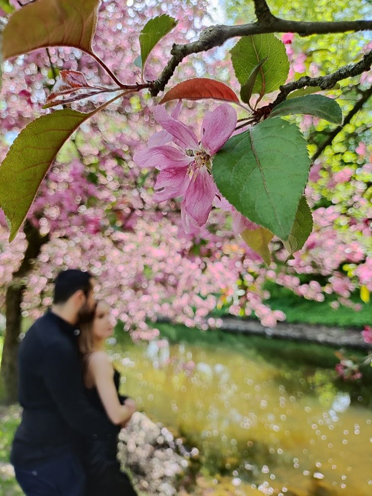 Photograph by Дарья