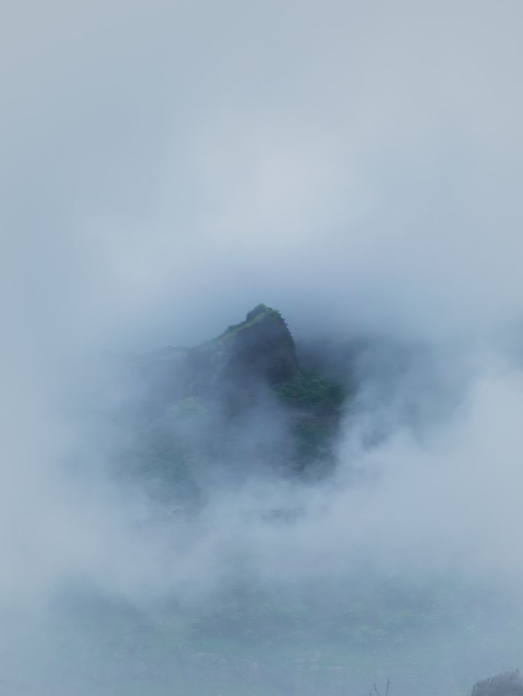 Photograph by Saksham Gupta
