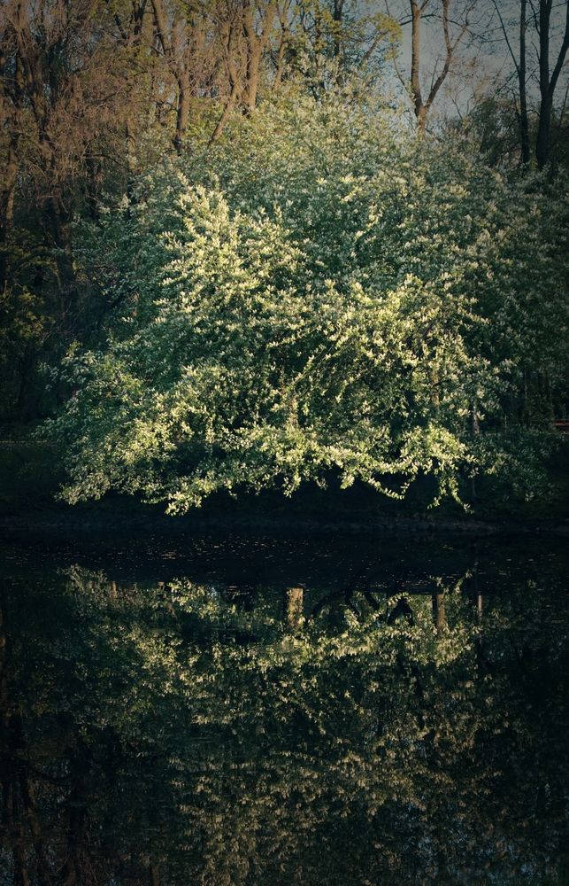 Photograph by Дарья Зуевская