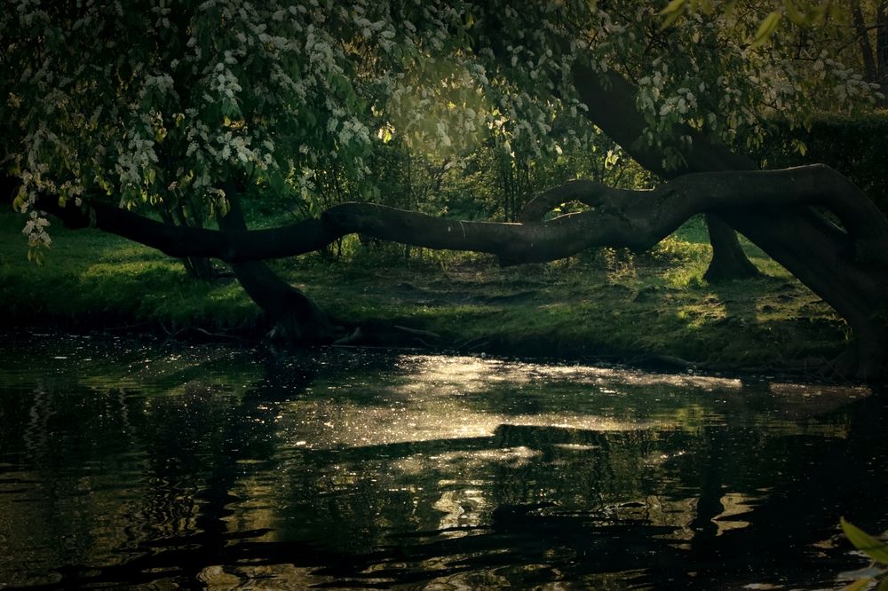 Photograph by Дарья Зуевская