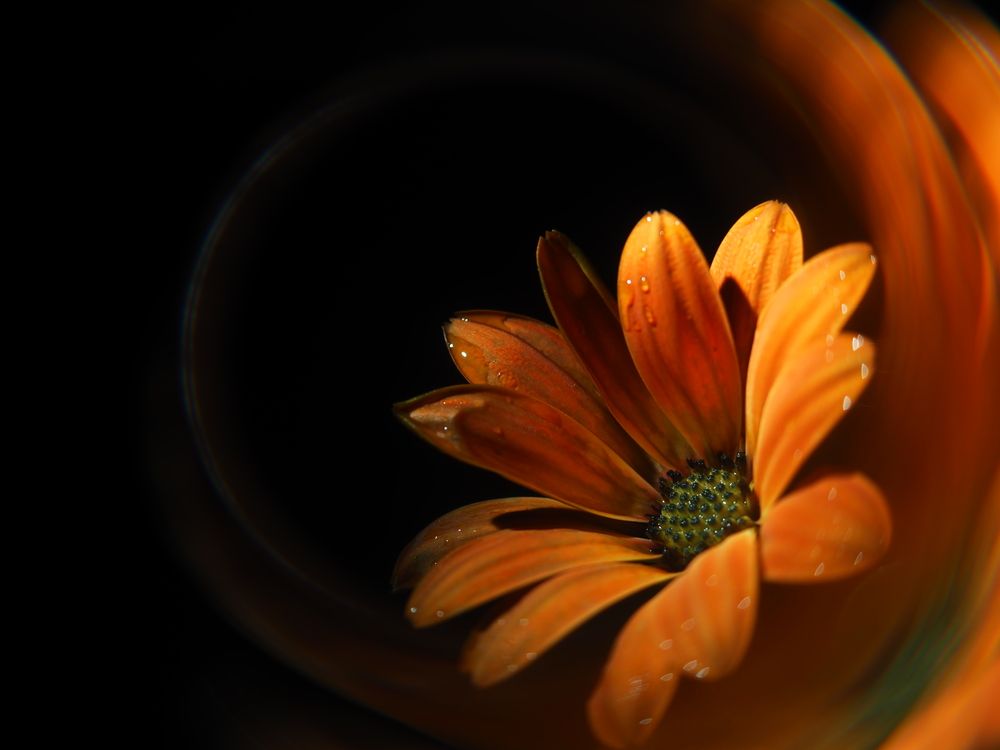 Photograph by Serdar AVCI
