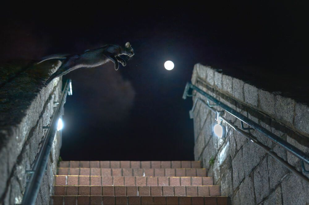 Photograph by Jeffrey Yan