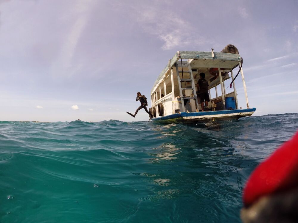 Photograph by Алексей Амилющенко