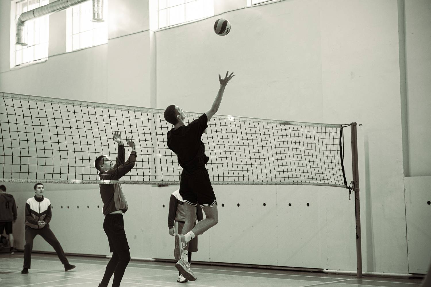 Photo #12250065