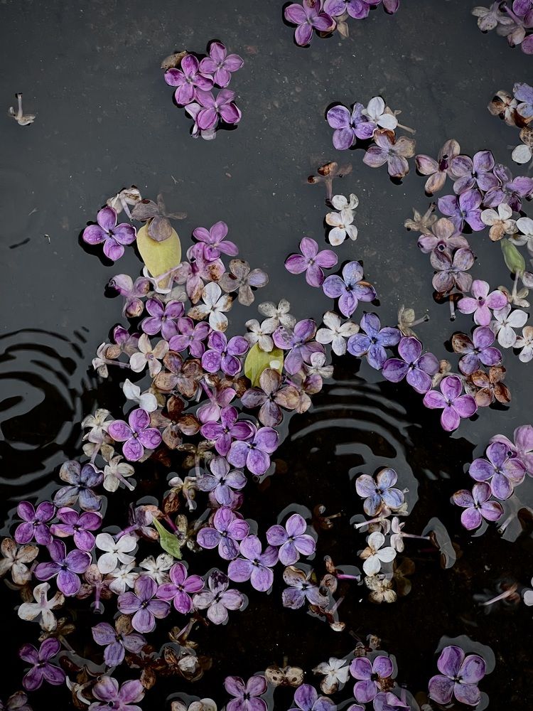 Photograph by Елена Зенкевич