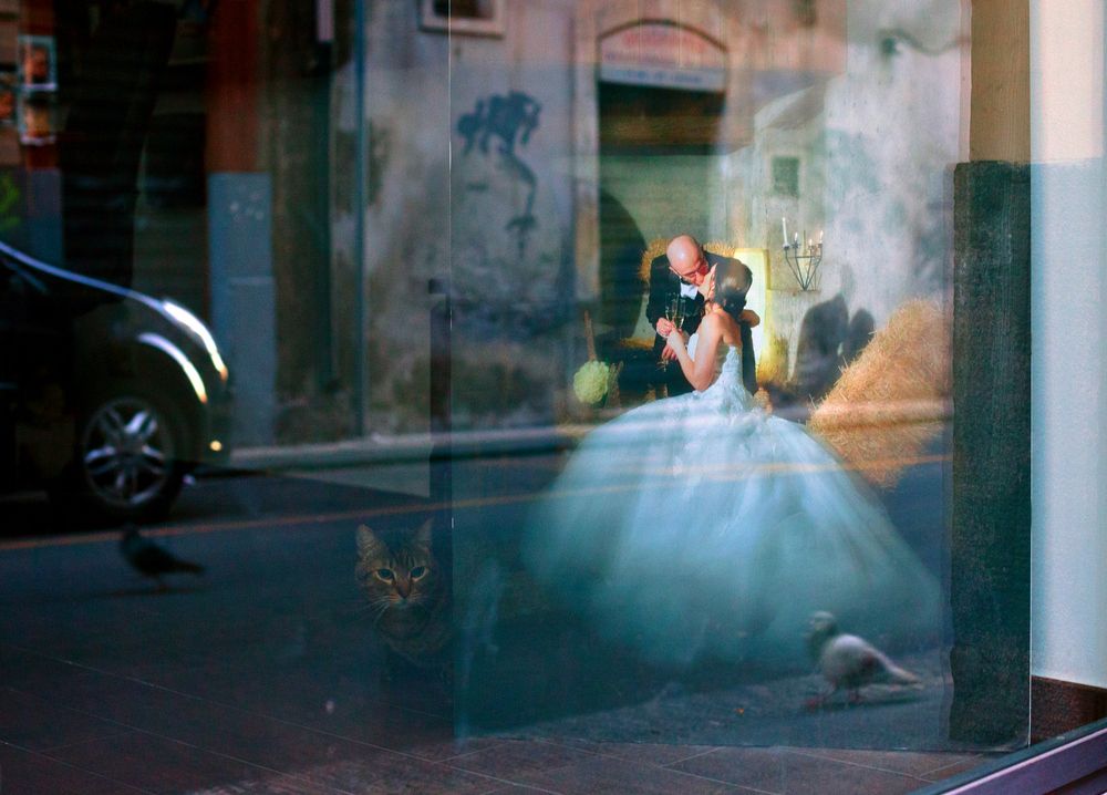 Photograph by ANDREY PERESHEIN