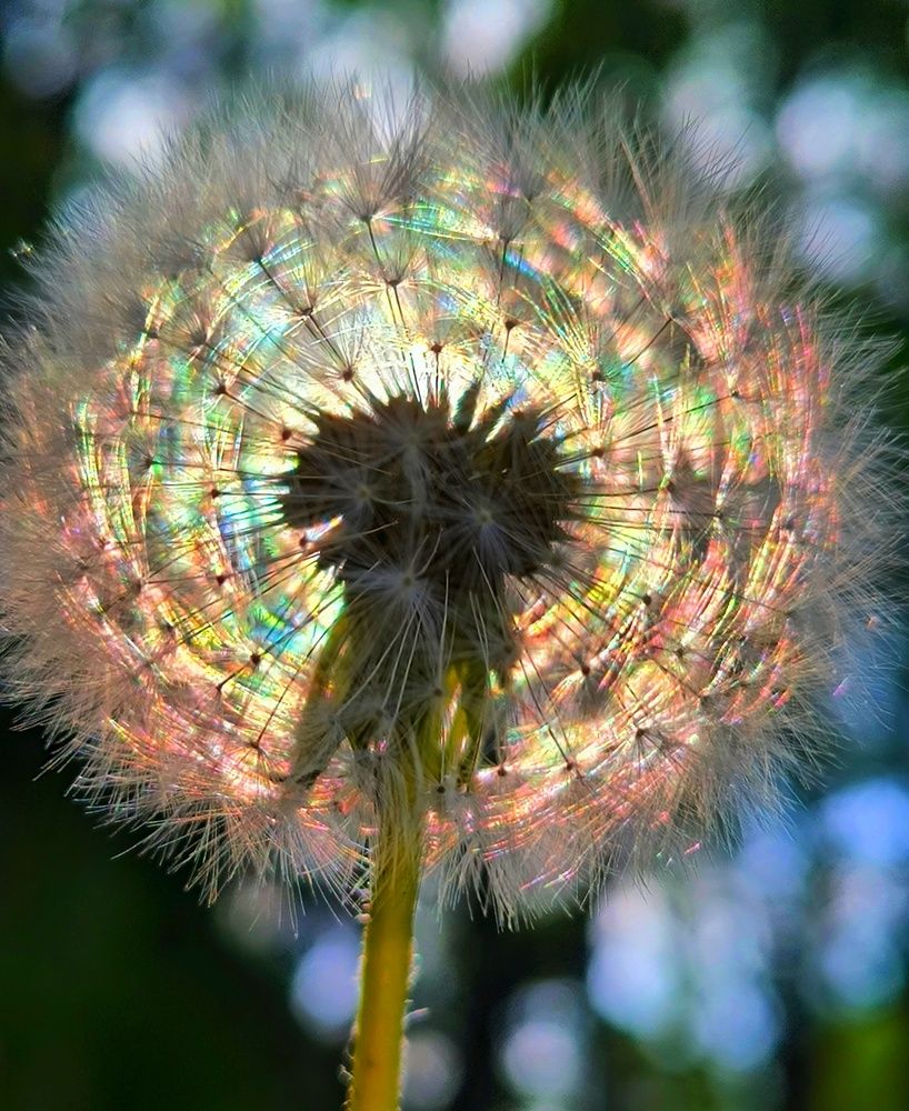 Photograph by ANDREY PERESHEIN