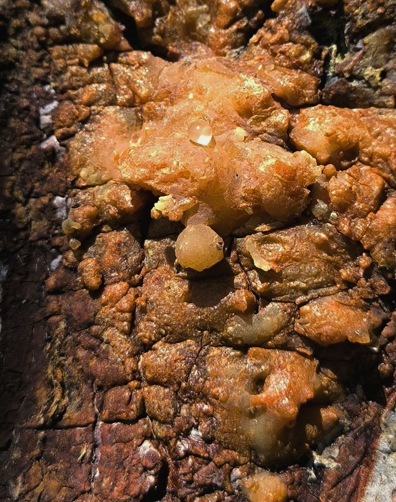 Photograph by ANDREY PERESHEIN