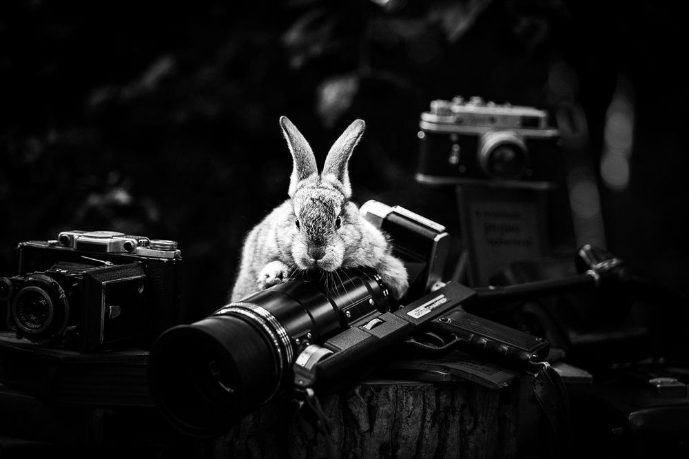 Фотография автора Михаил Лупина