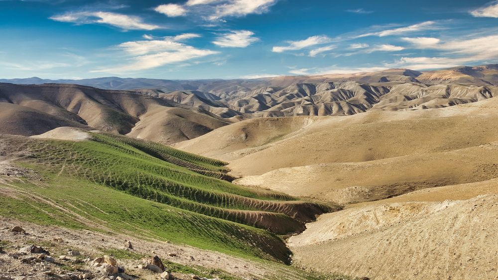 Photograph by Abdallah Khader