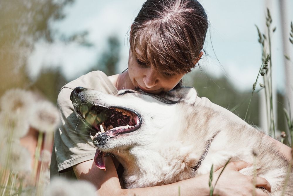 Photograph by Алёна