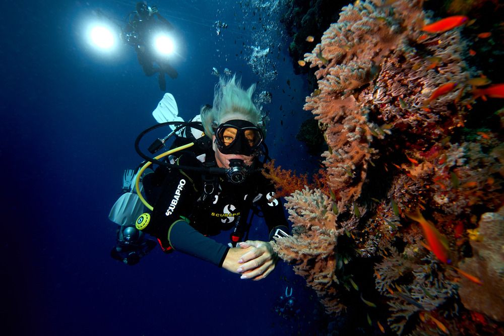 Photograph by Denis Timchenko