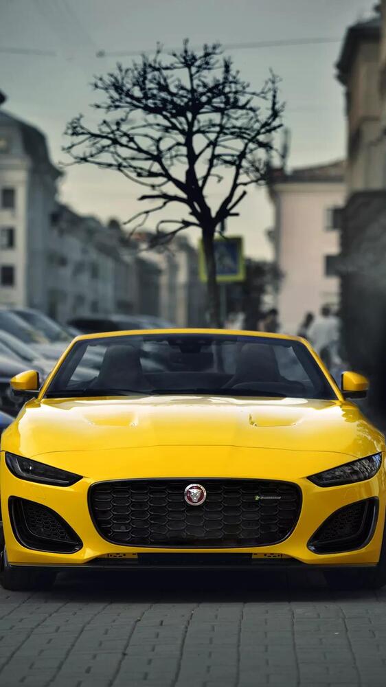 Photograph by Сергей Казаков