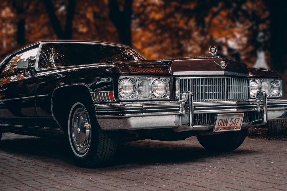 Photograph by Мартынов Константин