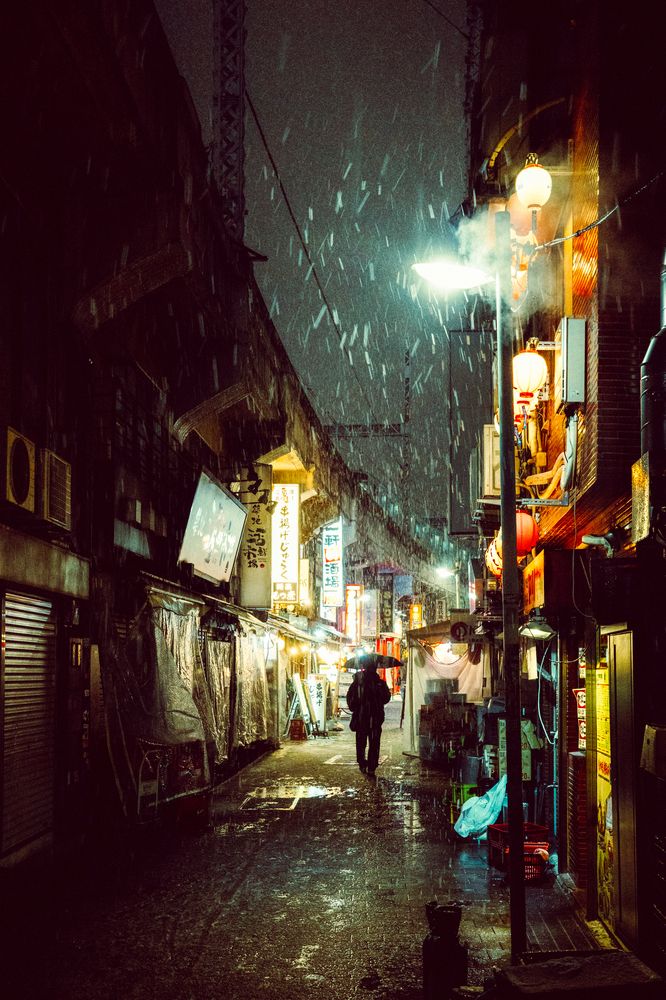 Photograph by Hasegawa Takashi