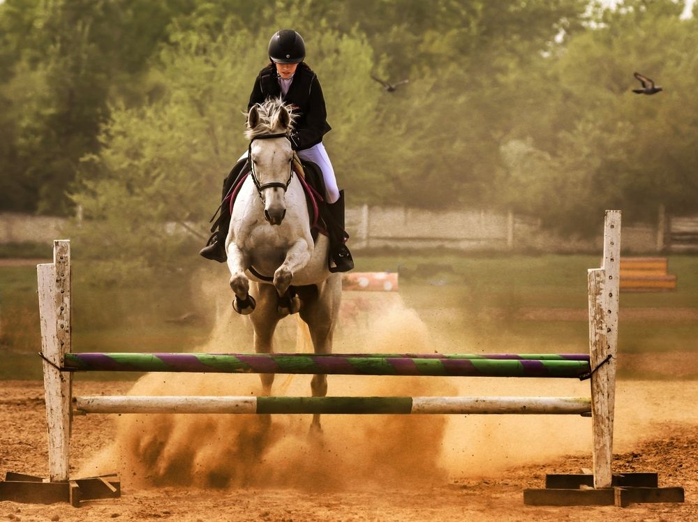 Photograph by Лапин Сергей