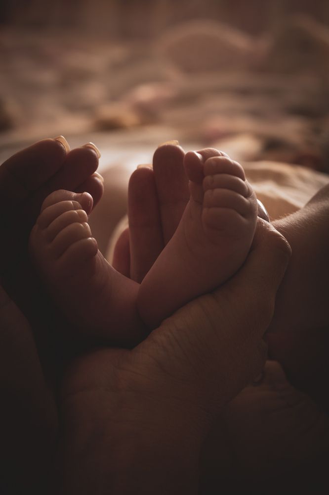 Photograph by Алина Орлова