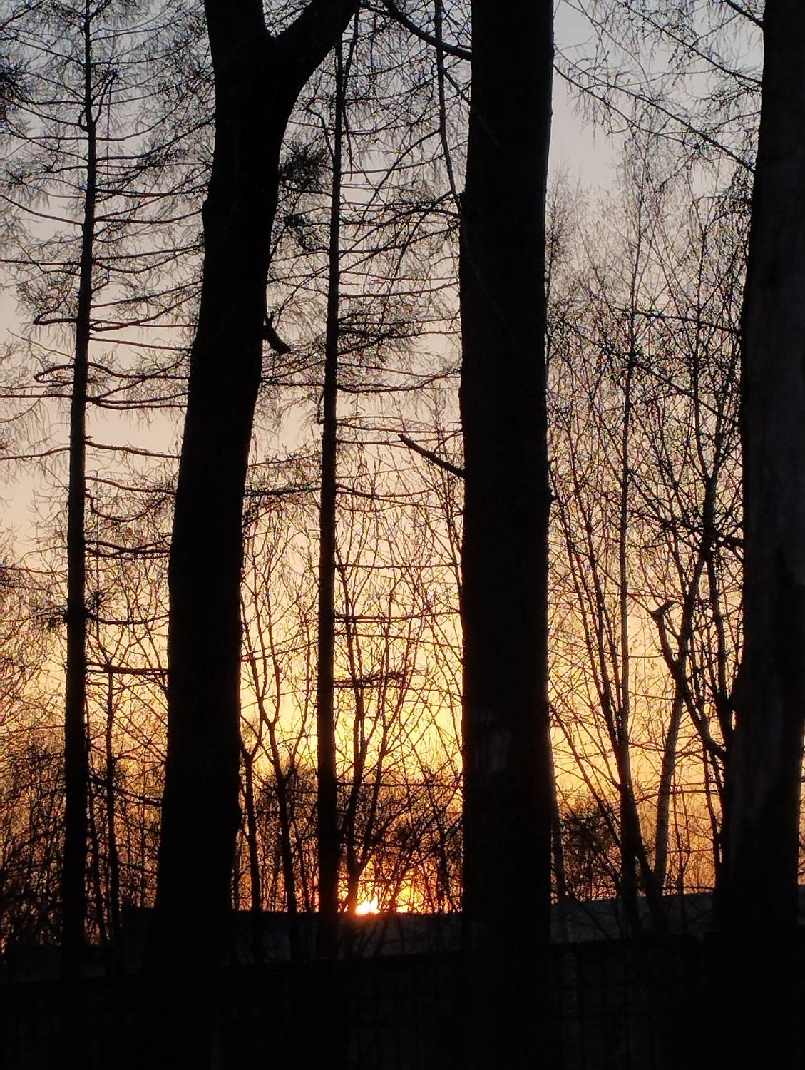 Photo #12250874
