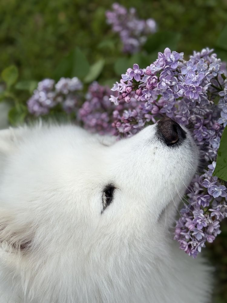 Photograph by Екатерина Тихонова