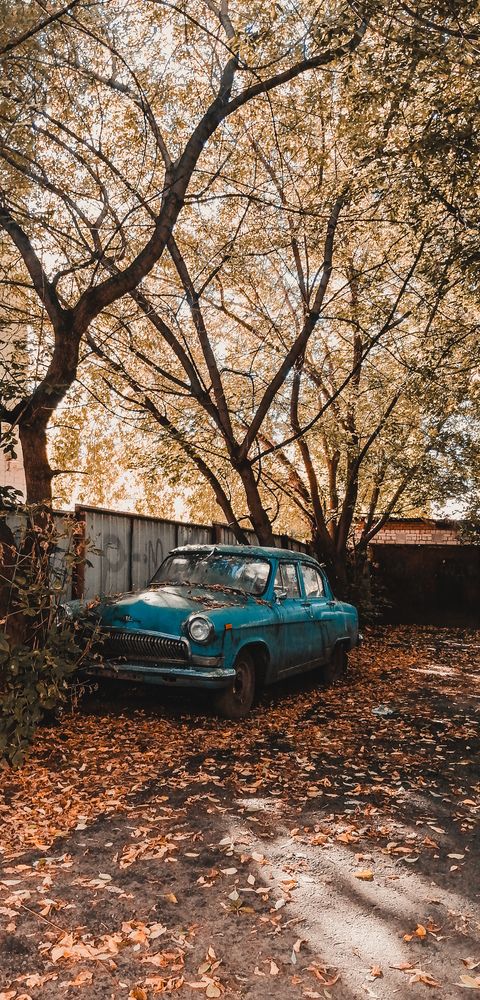 Photograph by Владислав Афанасьев