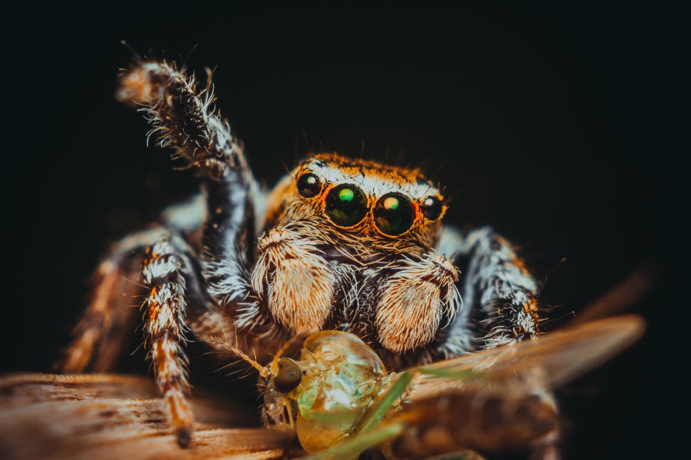 Photograph by Максим Юрлов
