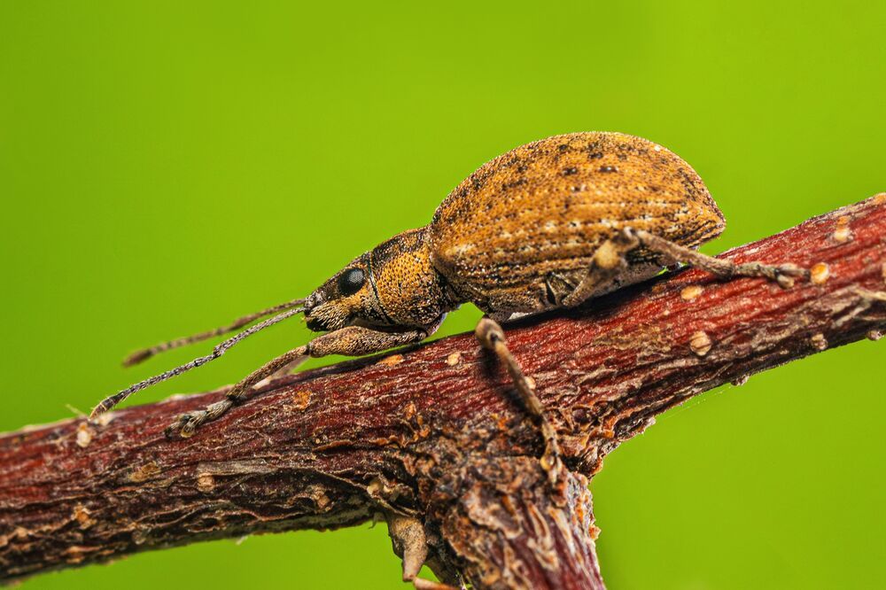 Photograph by mahadevan Arige