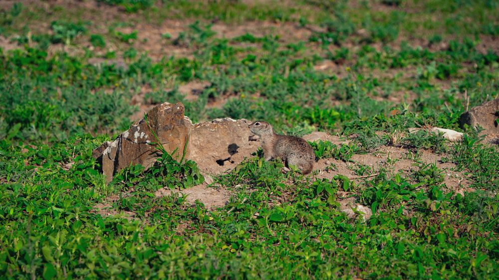 Photograph by Марина Пшен