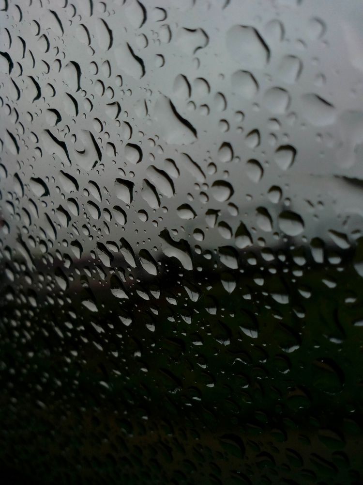 Photo #12251203