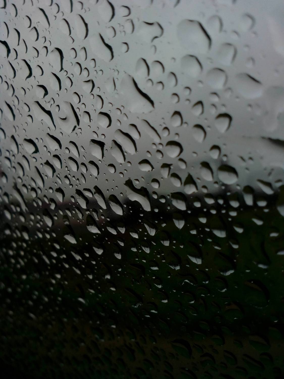 Photo #12251203