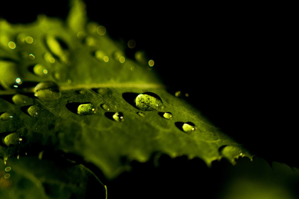 Photograph by Denis Naryshev