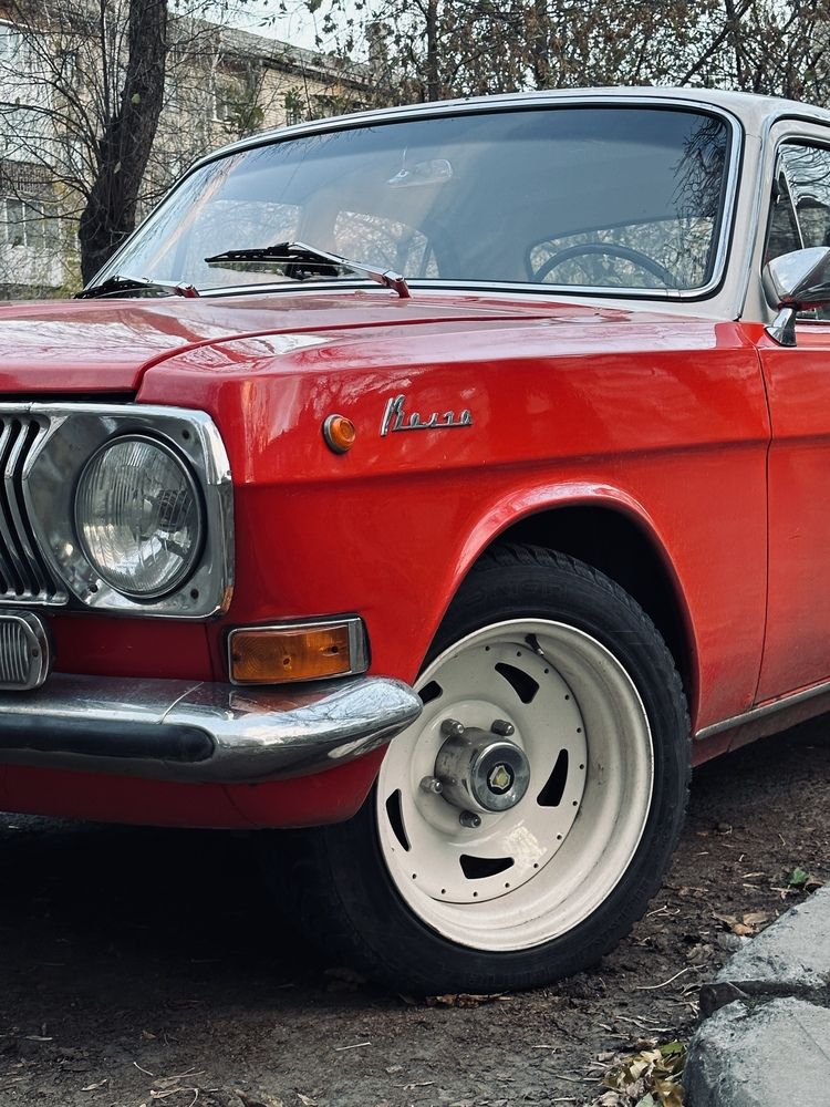 Photograph by Irina Kolotova