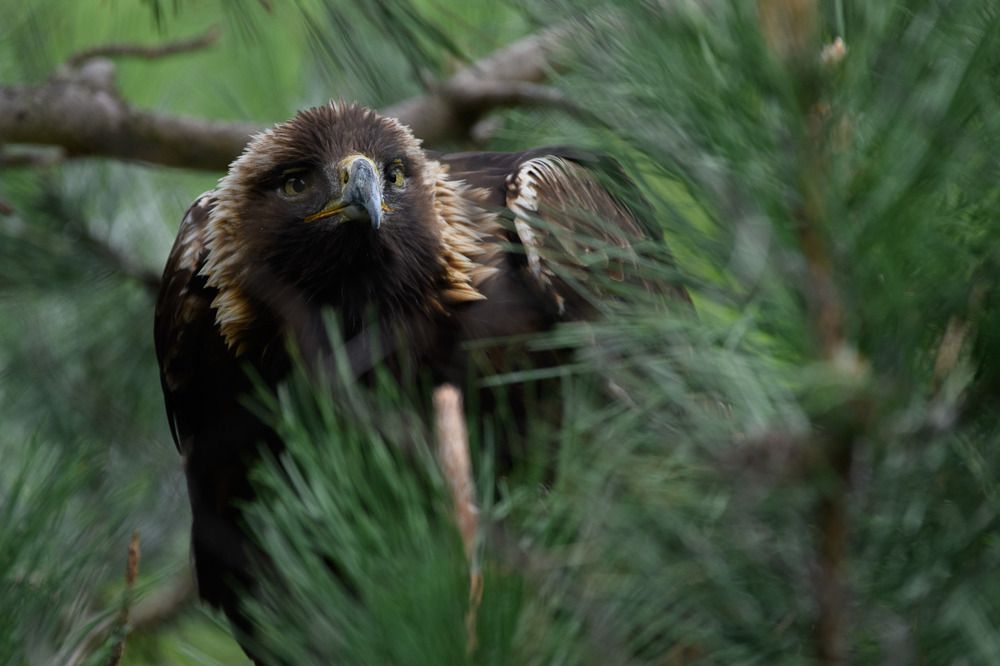 Photograph by Nathalie Talbot