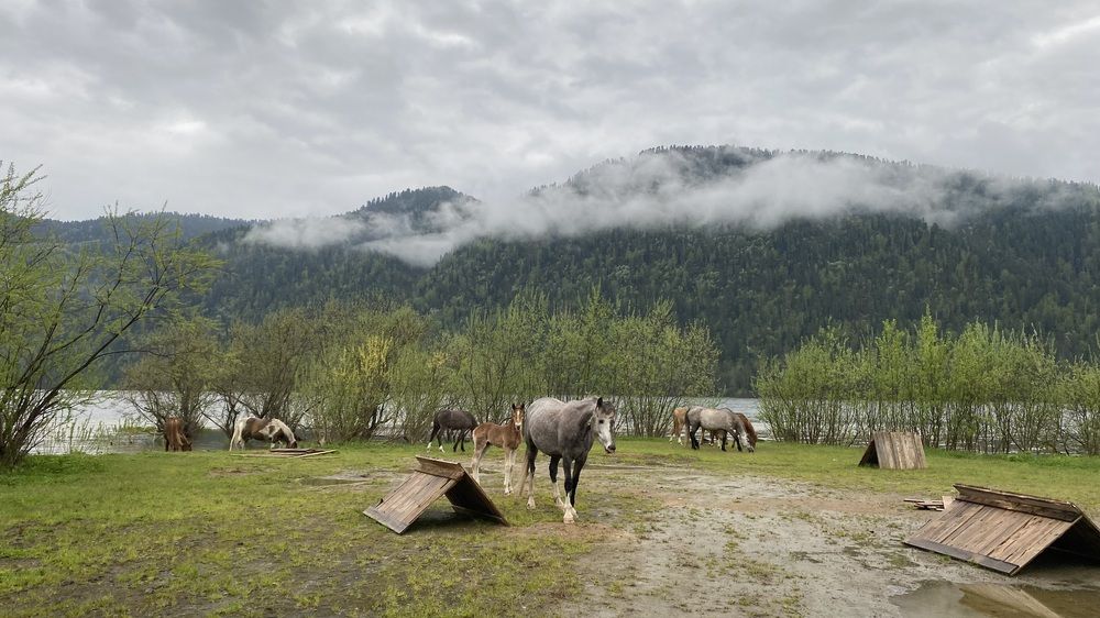 С мамой не страшно