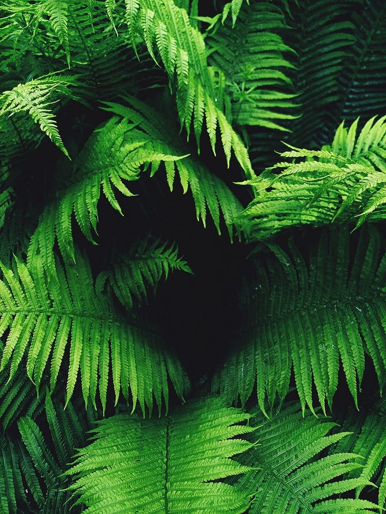 Photograph by Anna Grinkevich
