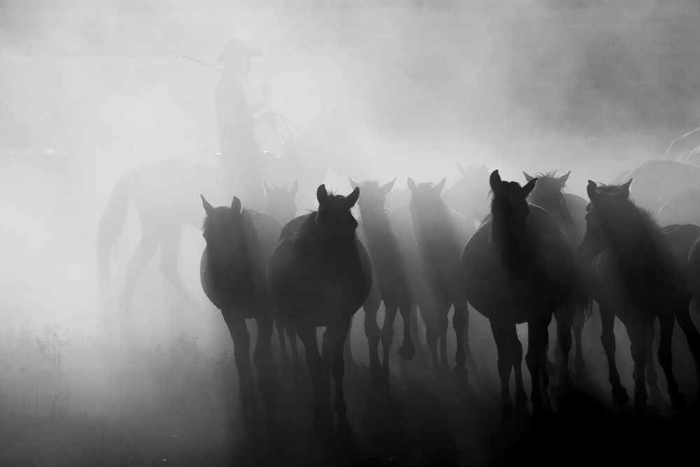 Photograph by Erhan Kalkandelen