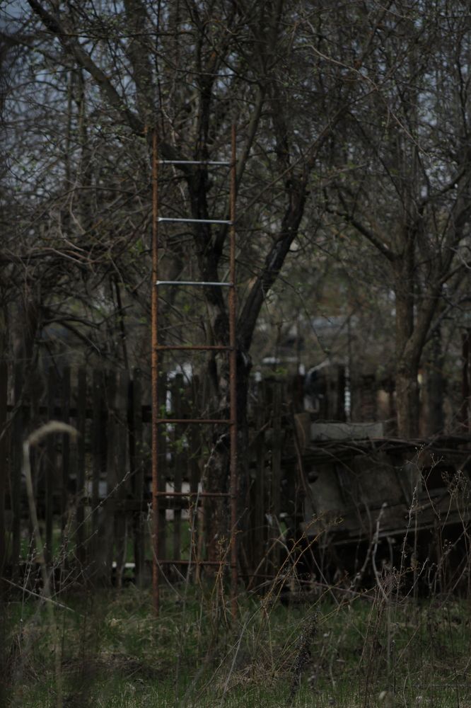 Photograph by Dmitrii Evstigneev