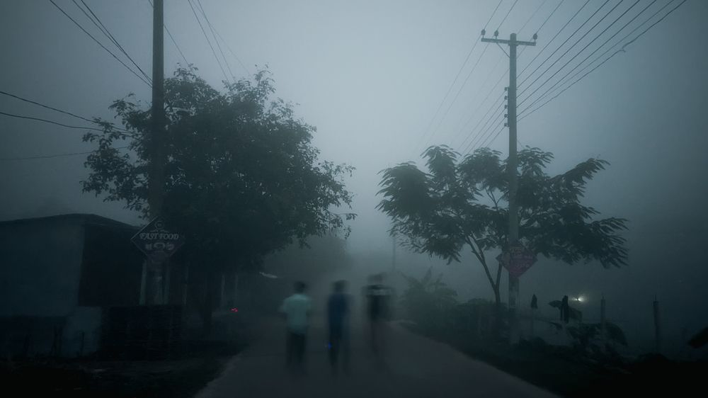 “Where the Fog Forgets Us”