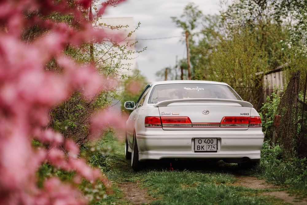 Photograph by Татьяна Скорина