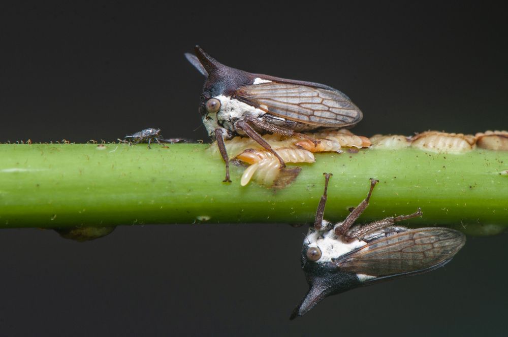 Photograph by Chamara Sulakkhana Polwatta Siriyalage