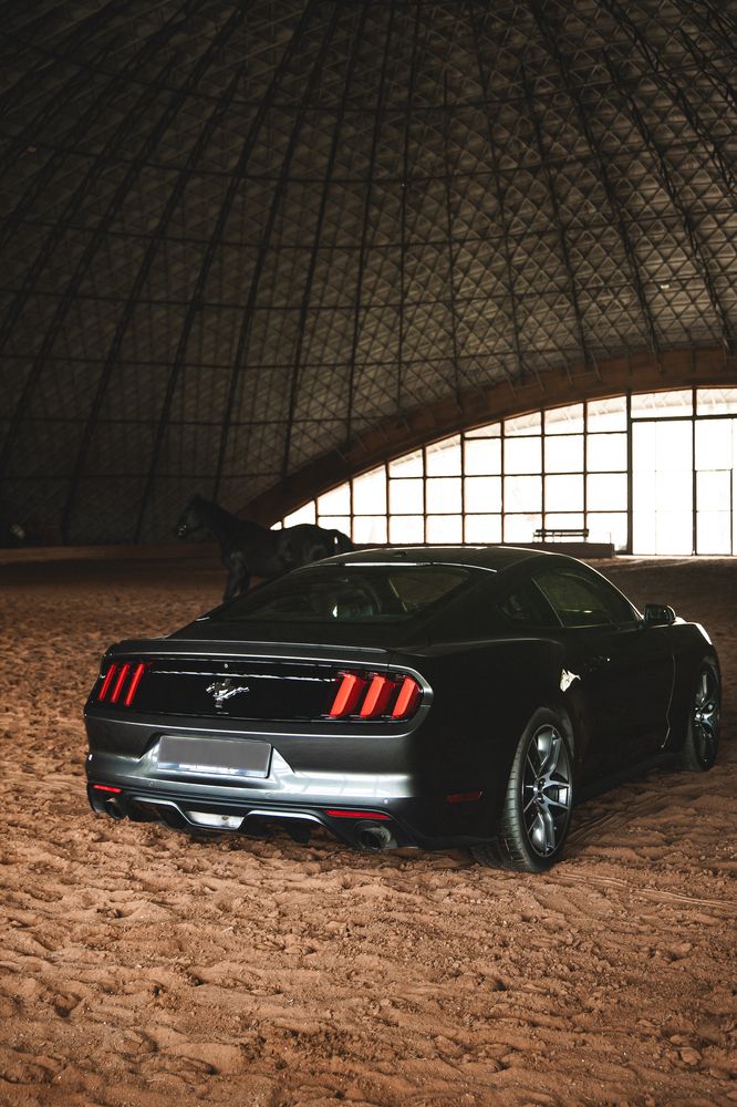 Фотография автора Артём Пышкин