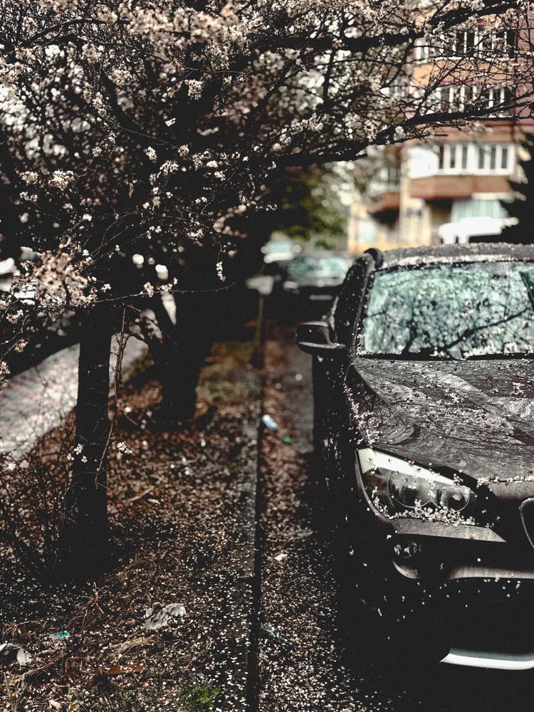 Photograph by Юлия Чернышёва