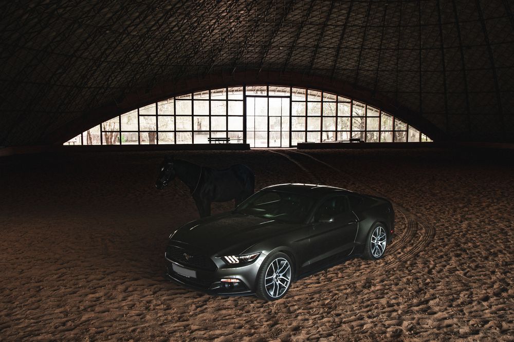 Фотография автора Артём Пышкин