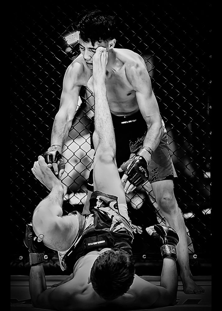 Photograph by Александр Вольхин