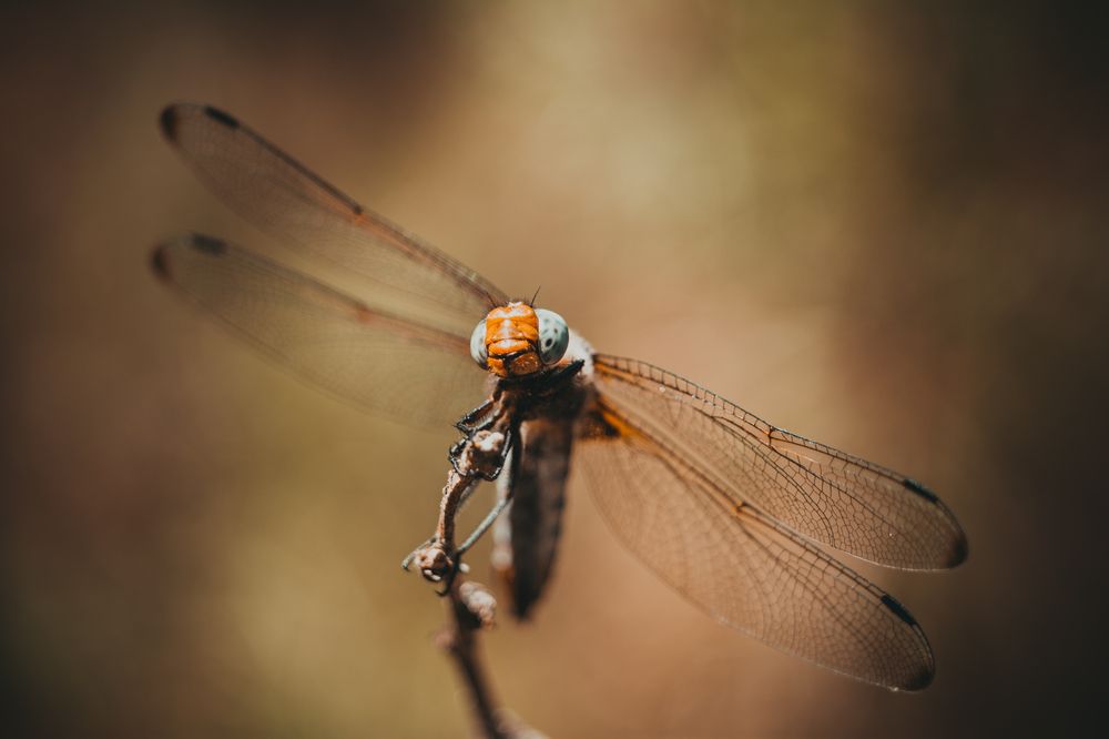 Photograph by Максим Юрлов