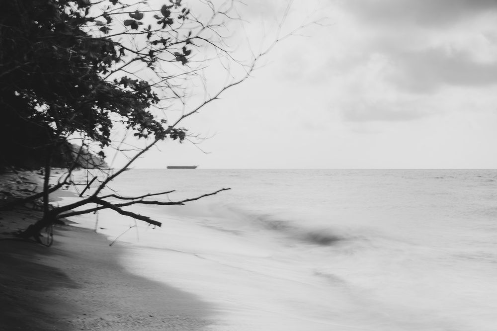 Photograph by Adi Noramin bin Mohd Resat
