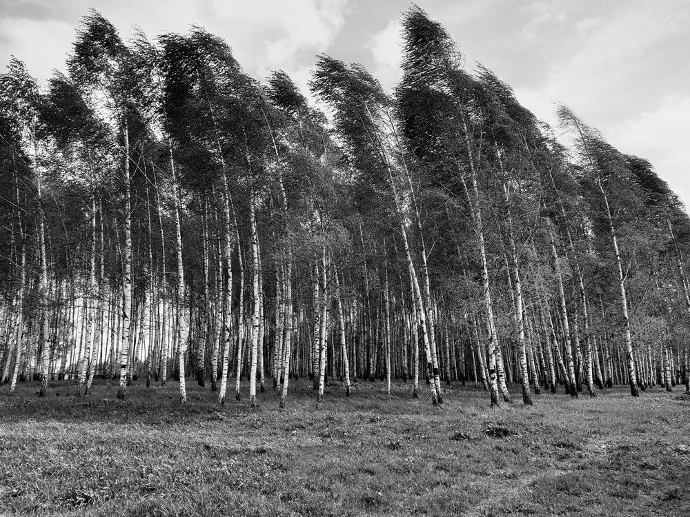 Фотография автора Ирина Дроздова