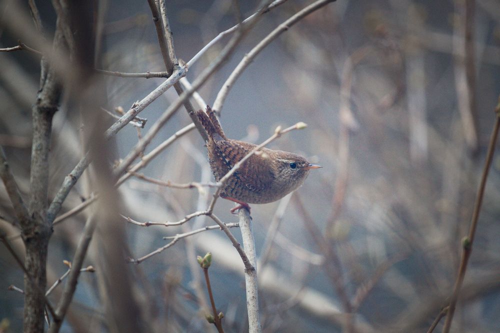 Photograph by Александра Серафимова
